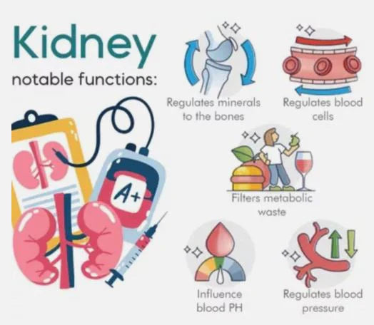 Sugar Control LI4 Acupressure Point Clip(Thumb Shape Magnetic Original)